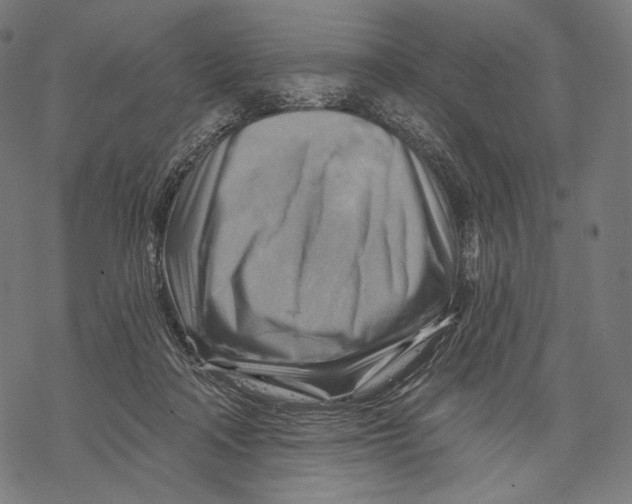 X0000068820314200605261557