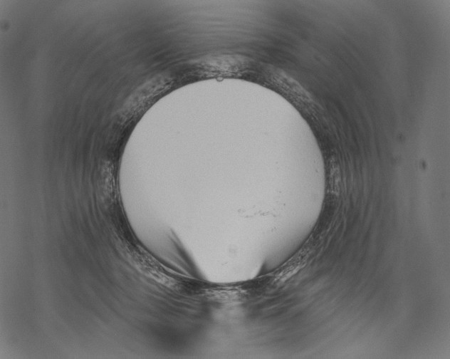 X0000068820318200605261557