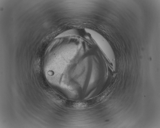 X0000068820319200605261557