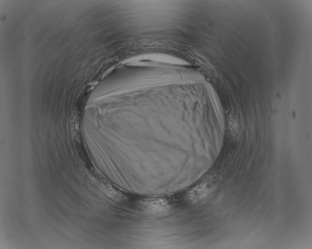X0000068820322200605261557