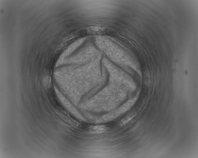 X0000068820324200605261557