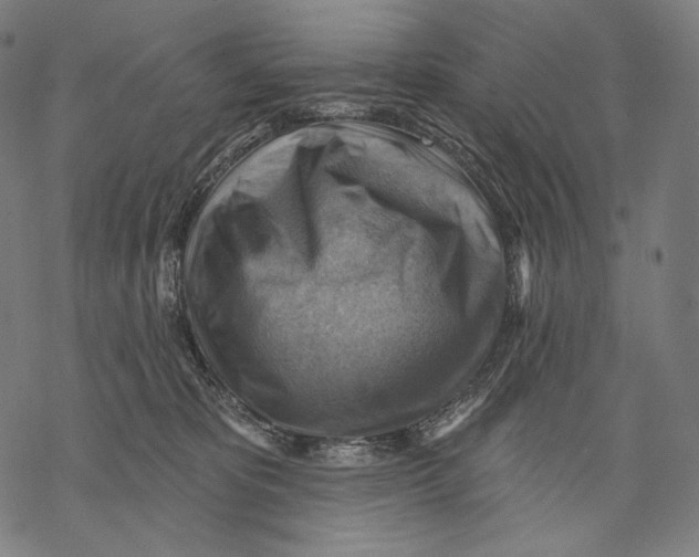 X0000068820325200605261557