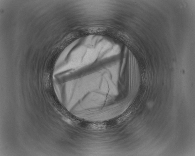 X0000068820327200605261557