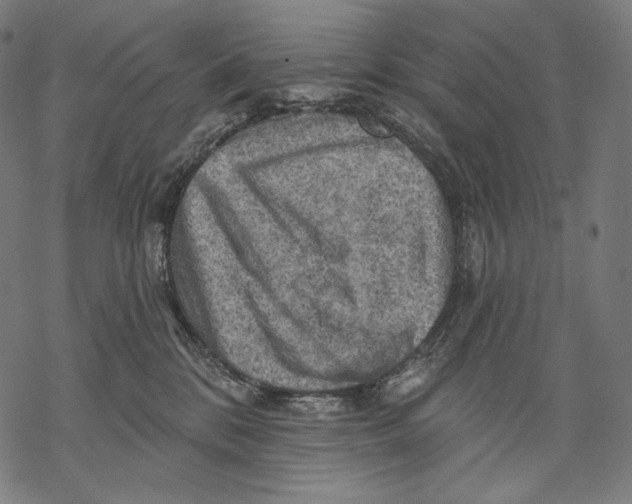 X0000068820328200605261557
