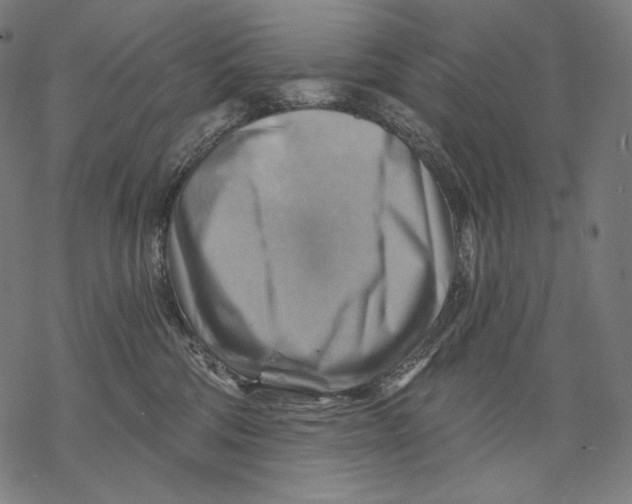 X0000068820330200605261557
