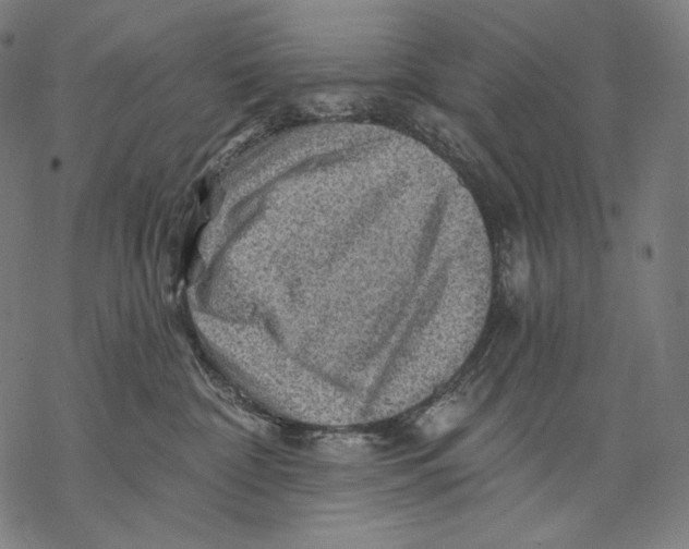 X0000068820332200605261557