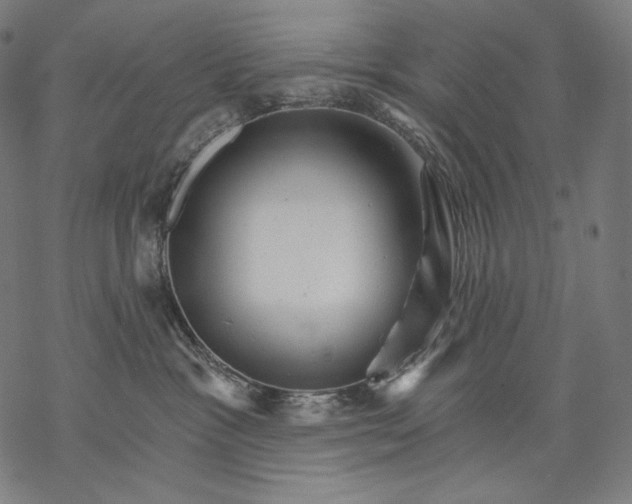 X0000068820333200605261557