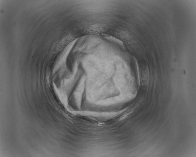 X0000068820334200605261557