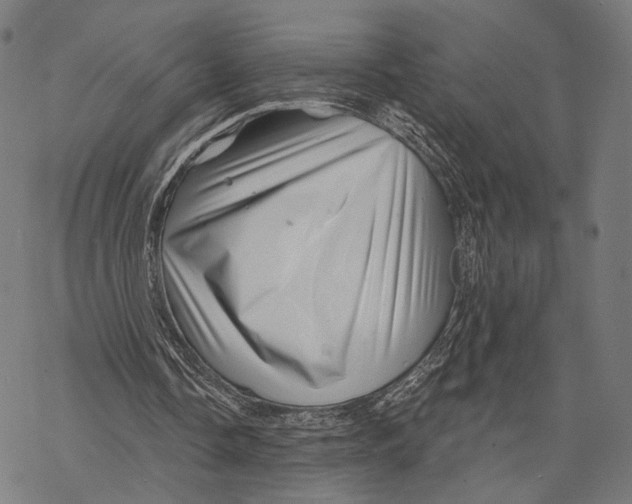 X0000068820338200605261556