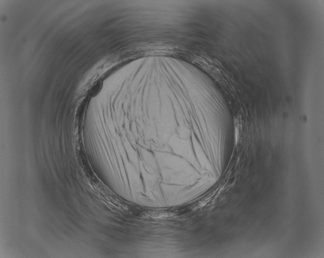 X0000068820339200605261556