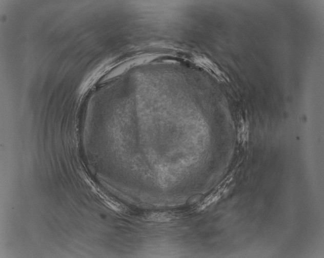 X0000068820341200605261556