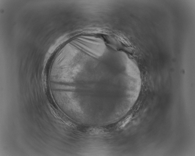 X0000068820343200605261556