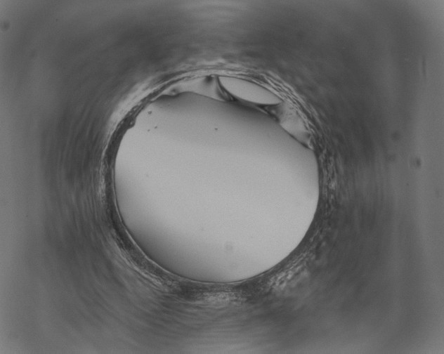 X0000068820344200605261556