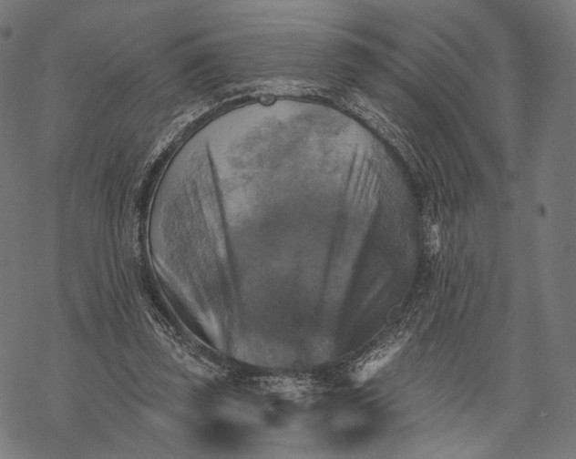 X0000068820347200605261556
