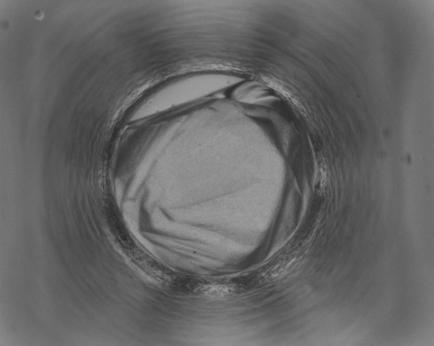 X0000068820352200605261556