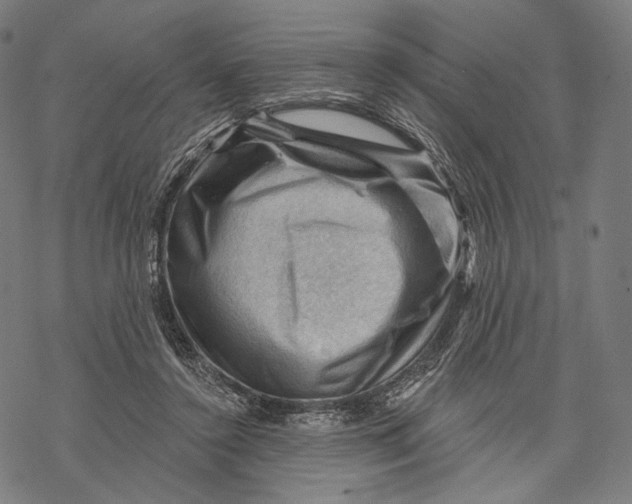 X0000068820356200605261556