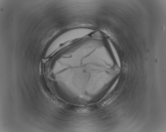 X0000068820358200605261556