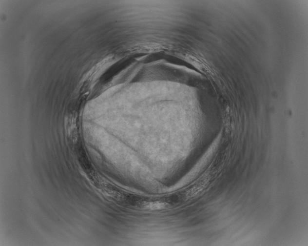 X0000068820360200605261556
