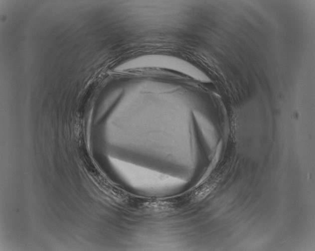 X0000068820367200605261556
