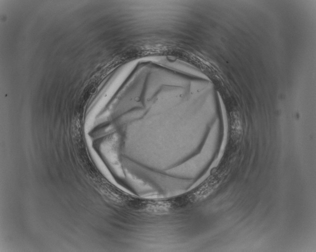 X0000068820369200605261556