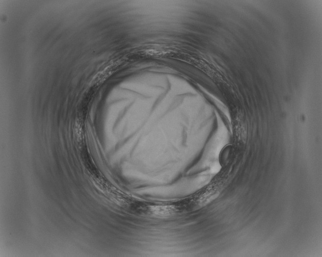 X0000068820371200605261556