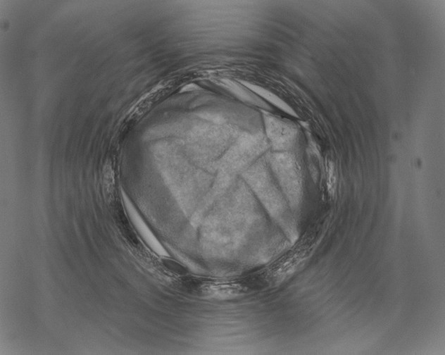 X0000068820372200605261556
