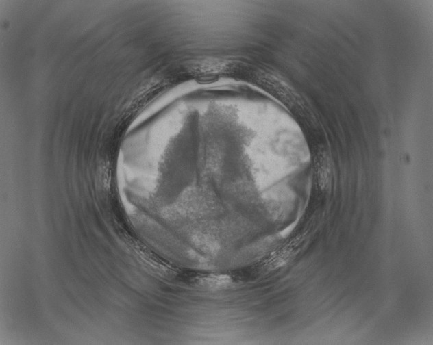 X0000068820374200605261556