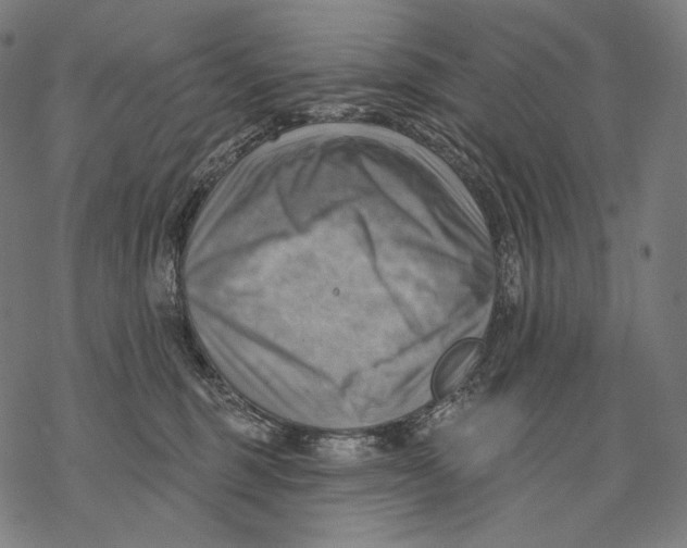 X0000068820375200605261556