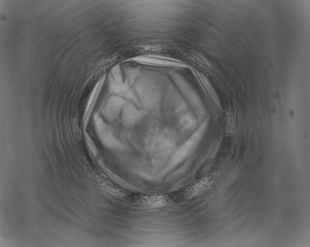 X0000068820377200605261556