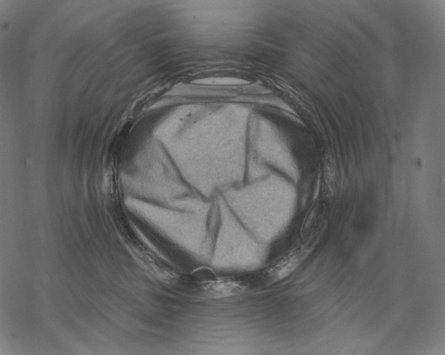 X0000068820379200605261557