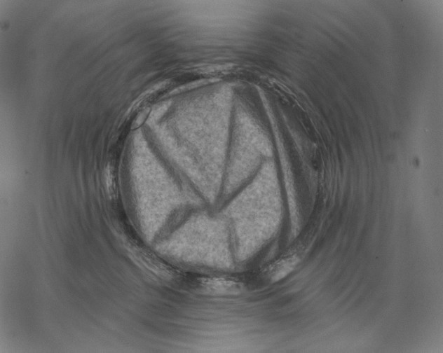 X0000068820380200605261557
