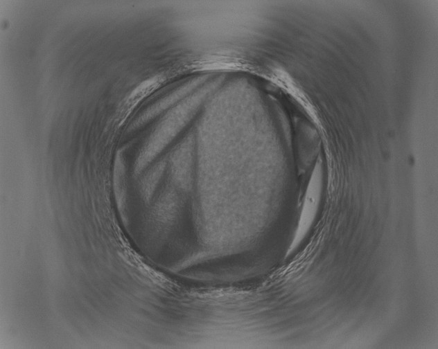 X0000068820385200605261556