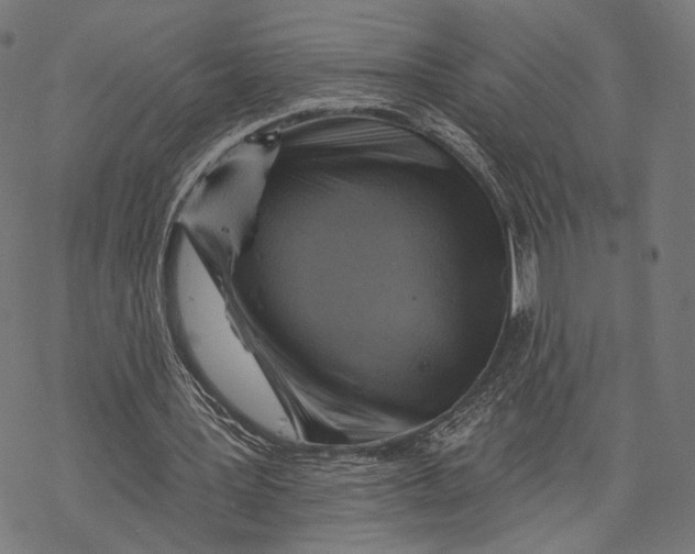 X0000068820387200605261556