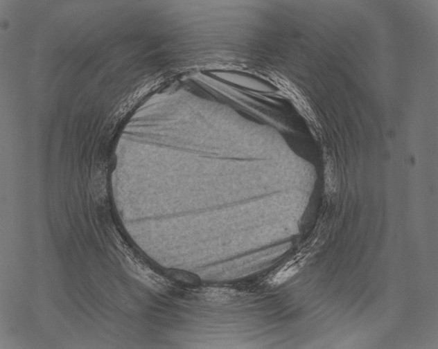 X0000068820393200605261556
