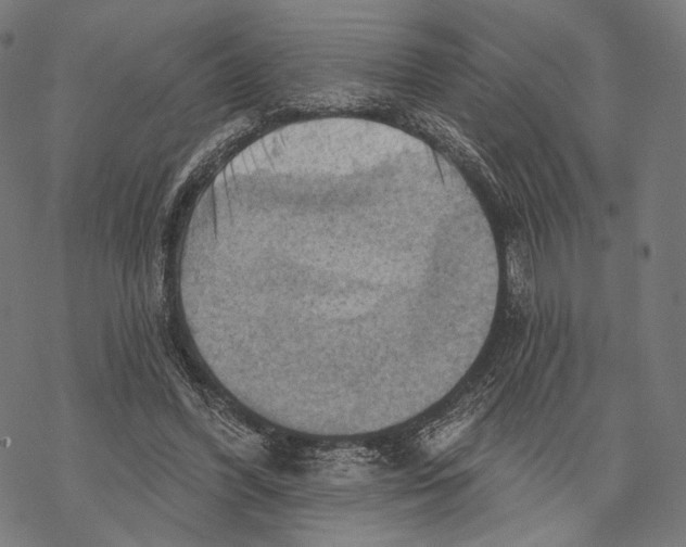 X0000068820396200605261556