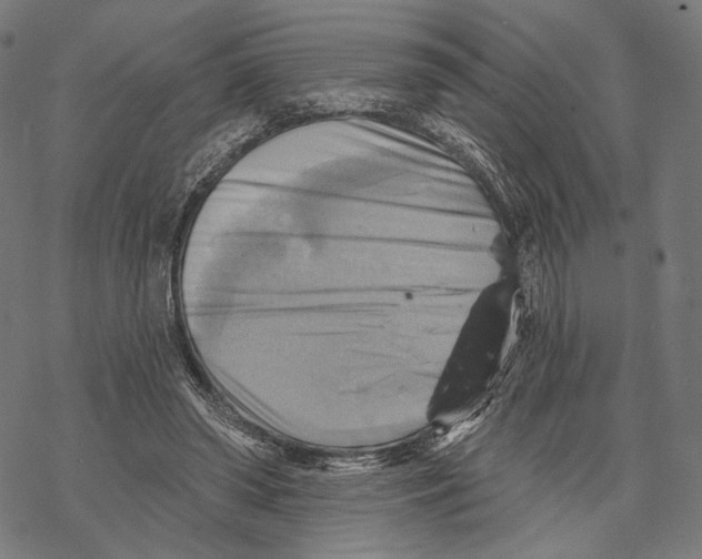 X0000068820398200605261556