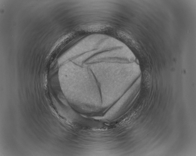 X0000068820400200605261556