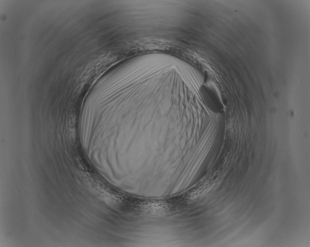 X0000068820402200605261556