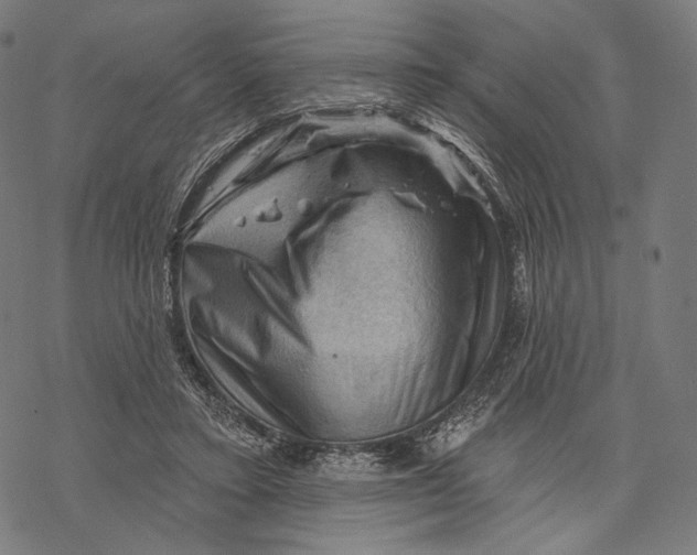 X0000068820403200605261556