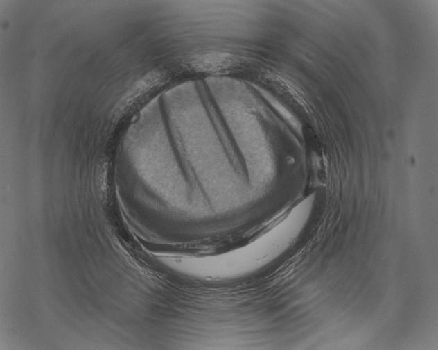 X0000068820404200605261556
