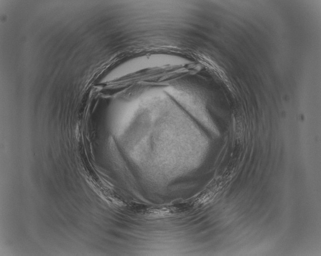 X0000068820405200605261555