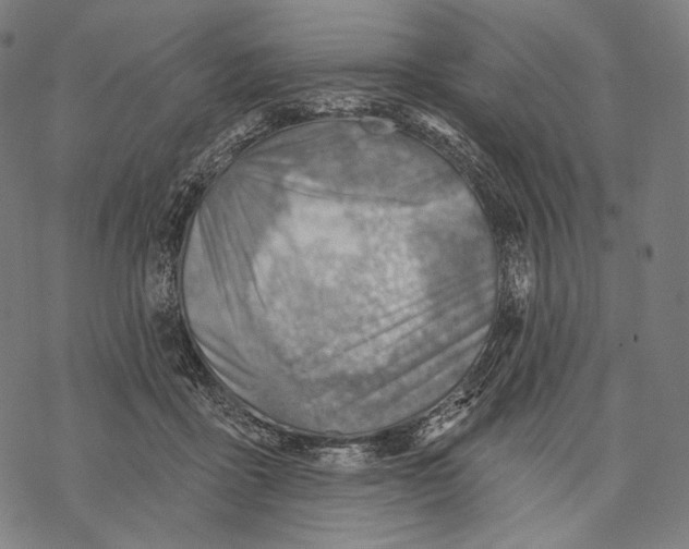 X0000068820411200605261555