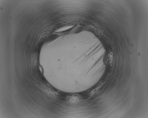 X0000068820412200605261555