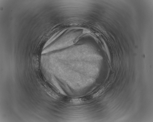 X0000068820413200605261555