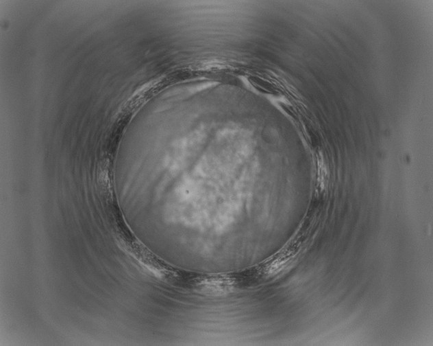X0000068820415200605261555