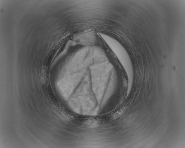 X0000068820416200605261555