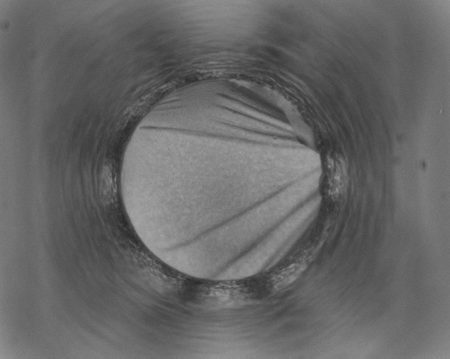 X0000068820420200605261555