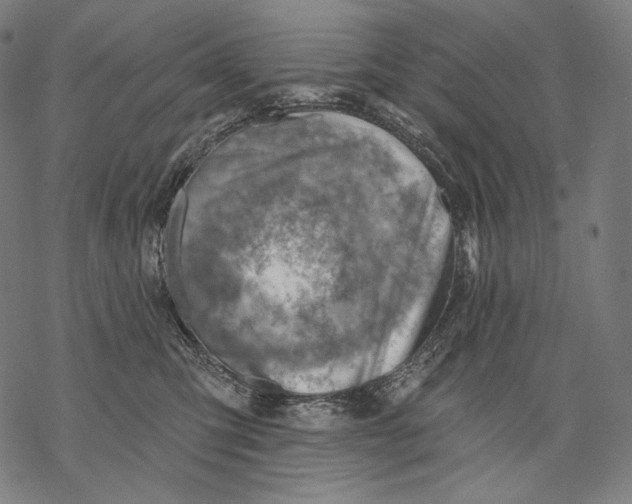 X0000068820423200605261555
