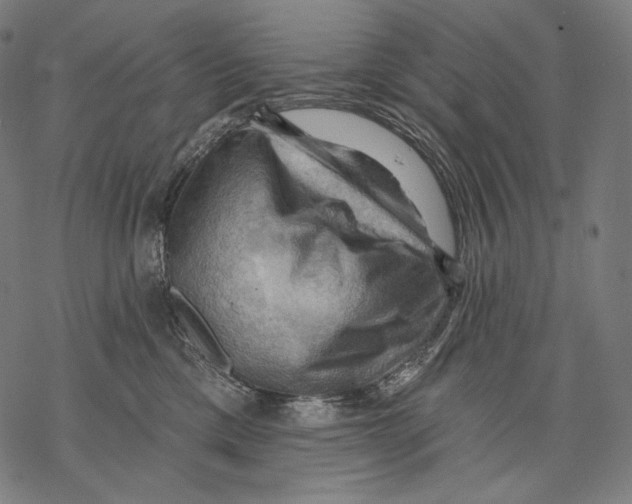 X0000068820425200605261555