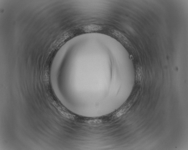 X0000068820426200605261555